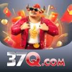 37q Live Casino Pro